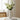 Abstract Modern White Ceramic Vases - Minimalist Boho Decor for Pampas Grass & Flowers2pcsUnited States - Berkana Home