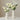 Abstract Modern White Ceramic Vases - Minimalist Boho Decor for Pampas Grass & Flowers2pcsUnited States - Berkana Home